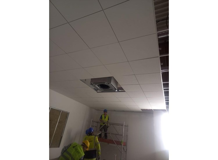 Fabrica Nestlé Purina, Ungaria